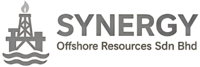 synergyoffshoreresources.com